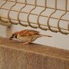 2025-06-12(Thu)