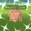 サイホーンのコミュニティデイの結果報告