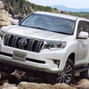 Toyota Land Cruiser-Prado