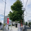 下丸子諏訪神社の銀杏