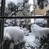 富山の雪