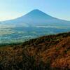 駅弁と紅葉の秋旅は、ぐるり富士山、信州、甲州、初島、車旅。〈信州平谷道の駅〉