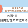 22週1日　胎内記憶の本泣ける