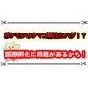 ポケモンSVで国際孵化ができないバグが発生！？ メタモンを要確認しましょう！