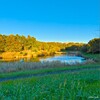  ひたち野みずべ公園のメタセコイア～つくば市とその周辺の風景写真案内（１２０８） 