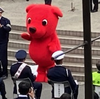 ブラバン屋外演奏を見ながら感じた事、あれこれ