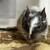 しろごまあん1272日目