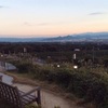 3179 新東名・駿河湾沼津