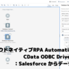 クラウドネイティブRPA Automation 360™ で CData ODBC Driverを使う方法：Salesforce からデータを取得する