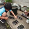 ３４１．田植え　〜４年目の都心米〜