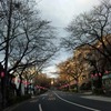 おはようございます。
