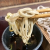 【コスパ最高】新宿、立ち食い価格で絶品「十割蕎麦」、生ビール200円！