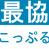 ここっぷる杯にお誘いいただきました！