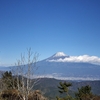 唐突に浜石岳