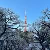 都内の梅の名所！芝公園「梅園（銀世界）」で梅見を楽しむ｜2025年開花状況、見頃、梅林の場所（東京都港区）