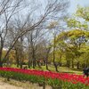 生きるとは、この事？