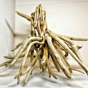 11 01から1ヶ月間の記事一覧 アクアリウム水槽レイアウト流木作り 一日一流木