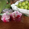お土産ドッサリ