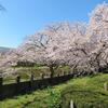 苦楽園 | ココロも開放！？2025年4月1日(火)～「さくらの通り抜け」越水浄水場の一般開放が行われます！