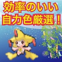 ルビーサファイア オダマキリセットで色違いアチャモゲット つくたろうのブログ