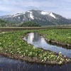 【尾瀬ヶ原】水芭蕉2025！今年は当たり年かも（山の鼻→水芭蕉群生地→龍宮十字路→東電小屋→山の鼻）