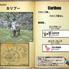 【FF14】暁月フィールドモブNo.0021 「カリブー(Caribou)」