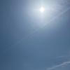 ごんじぃのひとりごと　初夏の陽気といちご狩り