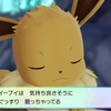 【ピカブイ】マスボ乱数