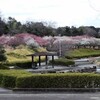 大高緑地の桃源郷