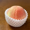 【追悼】八百屋が死んだ