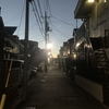 空が美しい夜明けランと日光浴しながらの作業