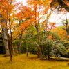 神奈川県足柄下郡強羅　　箱根美術館 　紅葉 2013年