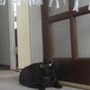 ◆エクササイズ