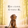 心の整え方：愛犬との絆を深める方法