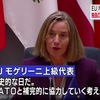 NATO への防衛費負担をゴネる EU 各国が「独自の防衛協力の枠組み」を発足させると発表