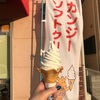 ソフトだよ！全員集合～～～🍦