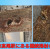 今も米軍の機銃掃射の跡が残る高尾駅（東京都八王子市高尾駅）