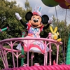 うさたま大脱走！@TDL / Usatama on the Run!