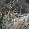 釣り　日光　鬼怒川