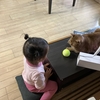 ２歳園児、園を脱走して１人でコンビニへ？