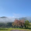 気持ちのいい休日☀️