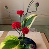  『お稽古の花』
