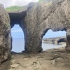 【鹿児島 / 徳之島】闘牛で有名な離島へ！世界遺産で鑑賞したウミガメに感動