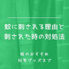 【解説】蚊に刺さされる理由と刺された時の対処法【蚊のおすすめ対策グッズまで】