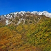 🏔️立山黒部アルペンルート その⑧ 室堂～黒部湖までの三段紅葉❗