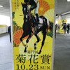 馬券を買わずとも、競馬場は楽しい。   菊花賞2016  観戦旅行記  2日目