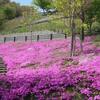 とくしま植物園