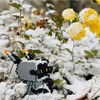 ナノビーズのすゝめ　～何気なくナノビーズ始めたらなかなか面白かった話