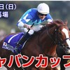 🎯ジャパンカップ 東京 芝2400🐎🎯