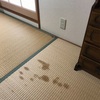 我が家の雨漏り、その後…